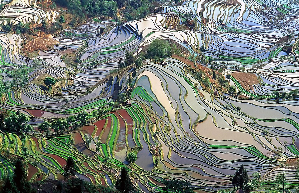 元阳梯田